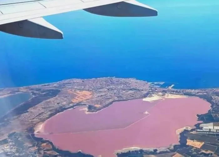 别墅 Moderne Luksus I / Alicante 托雷维耶哈